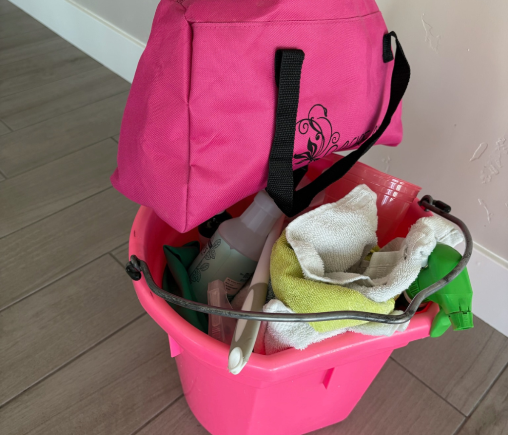 Eco-friendly monthly cleaning Utah Maid-Serv