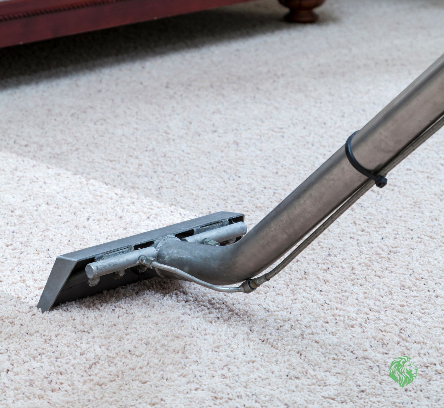 Maid-Serv professional residential carpet cleaning technician using steam cleaner in Utah