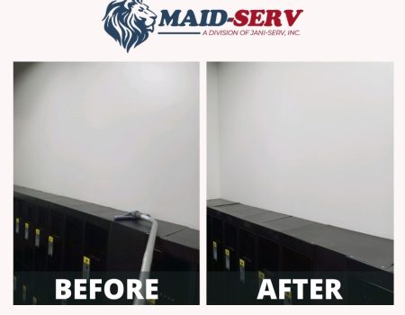 Maid Cleaning Salt Lake