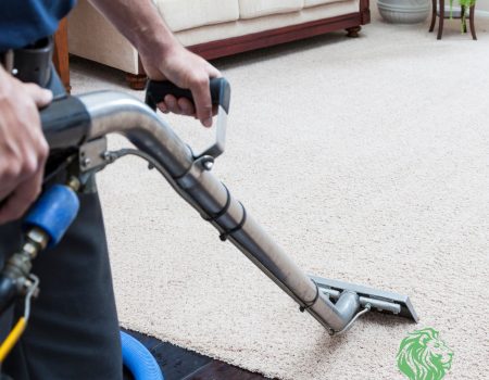 Spotless Hallway Carpet Cleaning Utah Maid-Serv residential carpet cleaning service in Utah hallway